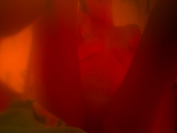 Fotografika Image Missy Jubilee Crescent Head The Future Sex Love Art Projekt Image Ref 10197 1