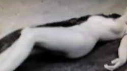 Porn Image Missy Jubilee Righteous Films Crescent Head Pornomatik Image Ref 05392 Porn Image Missy Jubilee Righteous Films Crescent Head Pornomatik Image Ref 05392