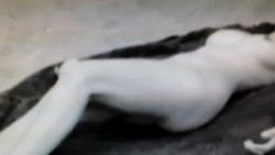 Porn Image Missy Jubilee Righteous Films Crescent Head Pornomatik Image Ref 05903 Porn Image Missy Jubilee Righteous Films Crescent Head Pornomatik Image Ref 05903